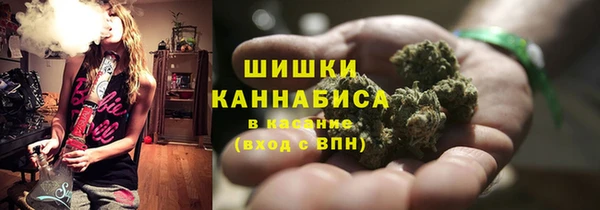 стафф Аркадак