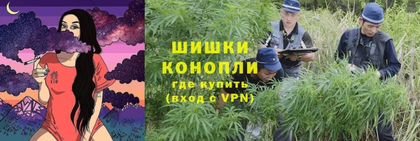 стафф Аркадак