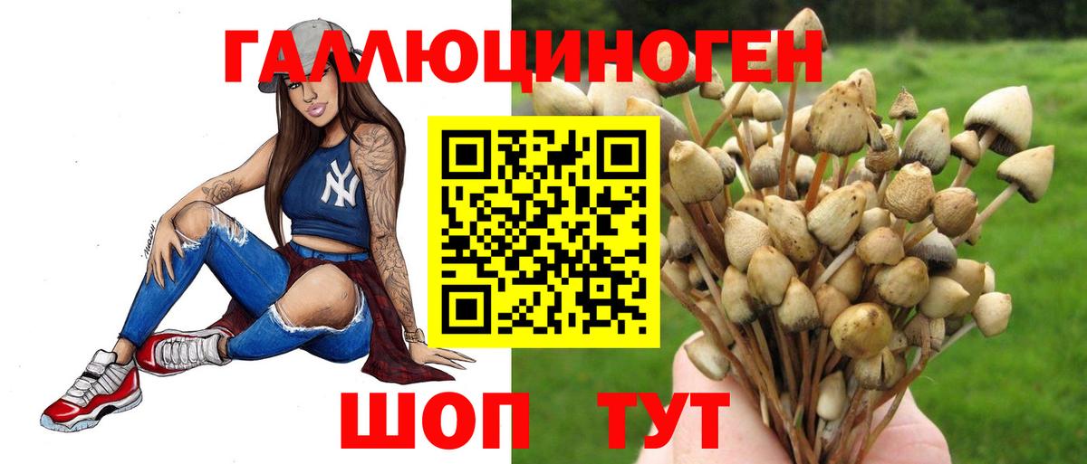 как найти наркотики  Псилоцибиновые грибы мухоморы  Псилоцибиновые грибы Cubensis  Вход с VPN  Старый Оскол 